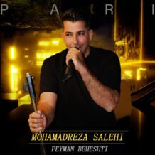 آهنگ جدید محمدرضا صالحی به نام پری